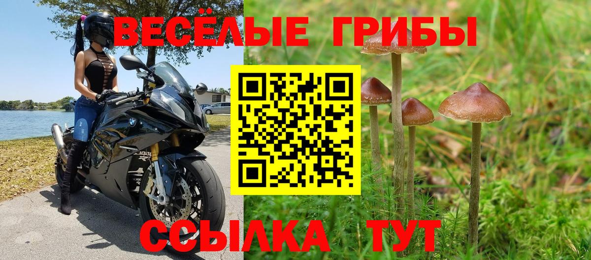 Псилоцибиновые грибы мухоморы  Галлюциногенные грибы GOLDEN TEACHER  Вход с VPN  Новоалександровск 