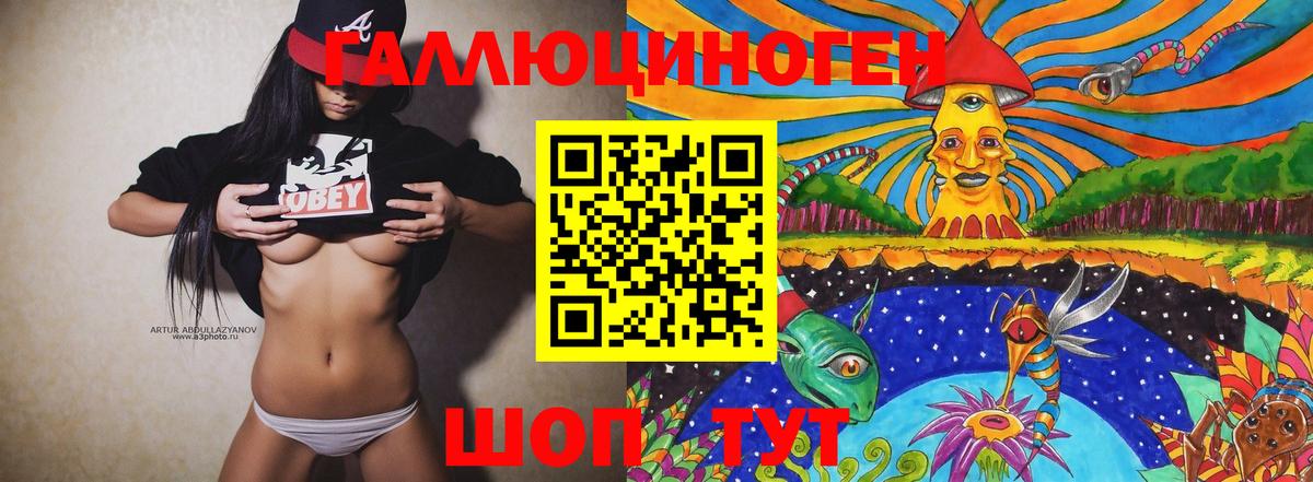 Галлюциногенные грибы Psilocybe Новоалександровск